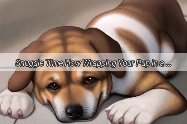 Snuggle Time How Wrapping Your Pup in a Cozy Blanket Creates the Ultimate Bedtime Bond